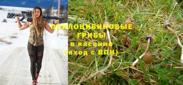 apvp Богданович