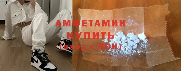 крисы Бронницы