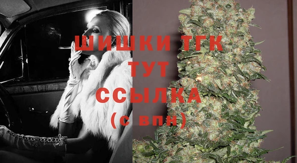apvp Богданович