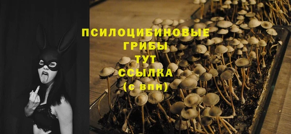 apvp Богданович
