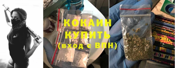 mdpv Богородск