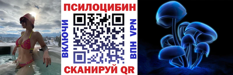 Галлюциногенные грибы Psilocybine cubensis  Среднеуральск 